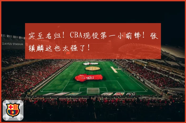 实至名归！CBA现役第一小前锋！张镇麟这也太强了！