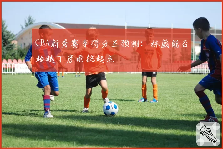 CBA新秀赛季得分王预测：林葳能否超越丁彦雨航起点