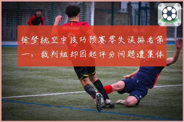 徐梦桃空中技巧预赛零失误排名第一，裁判组却因起评分问题遭集体投诉