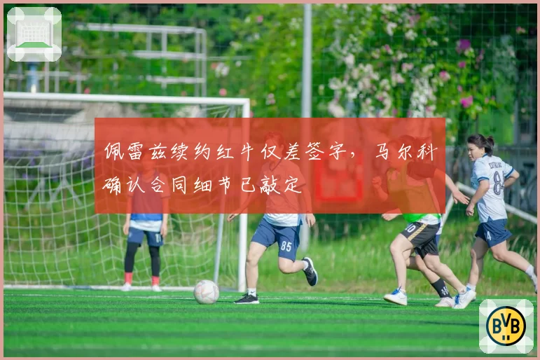 佩雷兹续约红牛仅差签字,马尔科确认合同细节已敲定